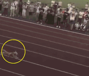 【最强回复】别考、任输!网友晒考研报名验证