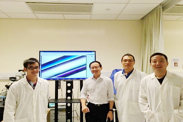 研发柔性微管获开拓性进展[图]|麻省理工学院|基