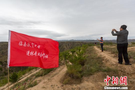 山西林业扶贫模式成中国样本|林业|扶贫|造林