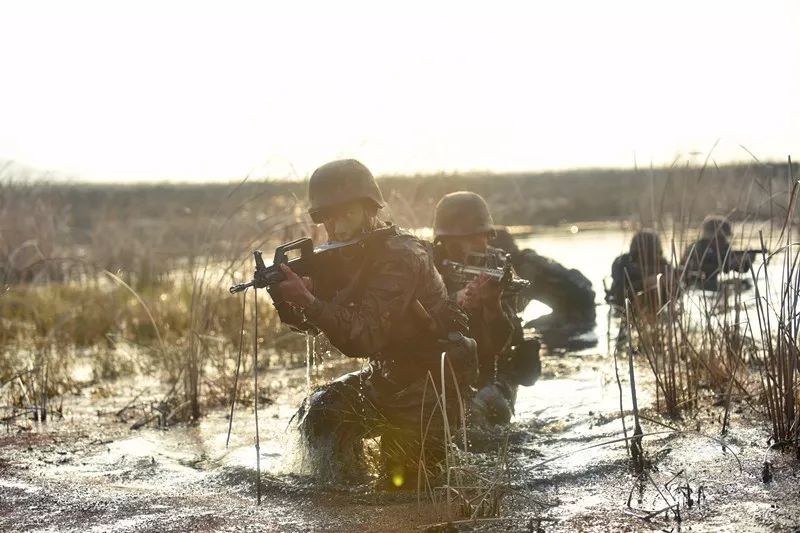 新训 | 新兵初入营,成为军营 最强王者 总共分几