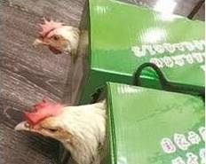 利:这在宁波算什么级别?评论炸了…|加班工资|