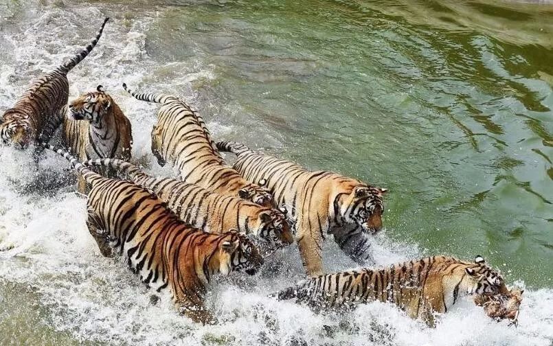 祖国很多娇,哪里走一遭? 十大宝地一个都不能