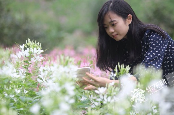 重庆园博园国庆中秋活动多 赏花绘画还能看航