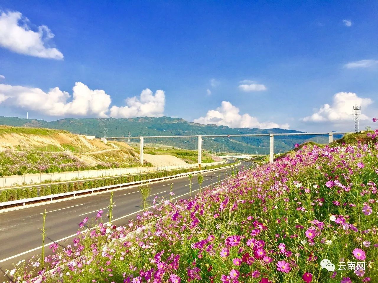 早fun|玉溪至磨憨铁路已开建 2021年昆明到版纳