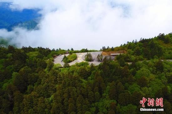 吃了水产市场买回来的海鱼,一家六口中毒紧急