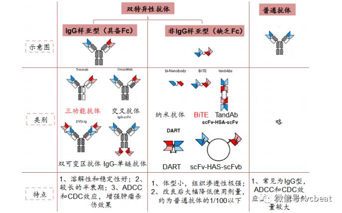 岸迈生物如何从双特异性抗体市场脱颖而出