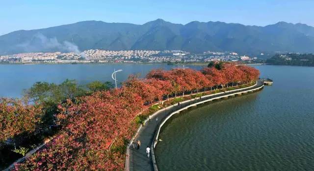 桂林山水、西湖美景,广州出发只需一小时让你