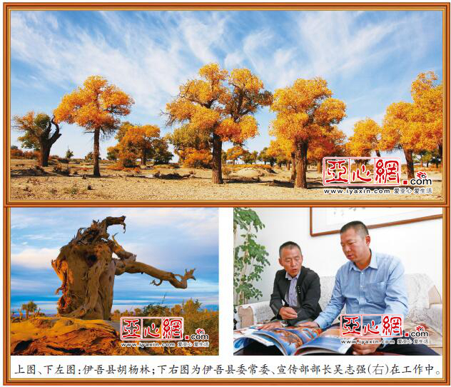 伊吾GDP_新疆·伊吾胡杨林景区展现文旅新景象