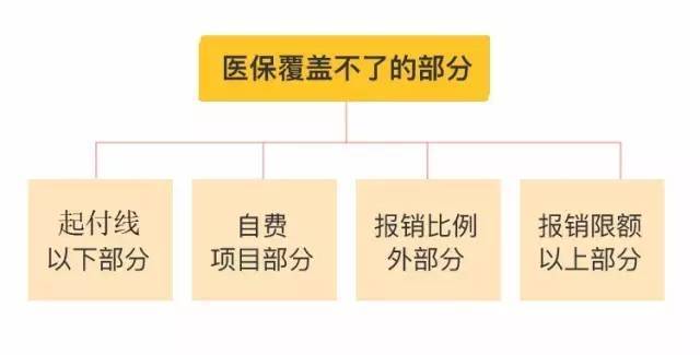 医保卡每个人都有,但涉及医疗费报销问题,有多