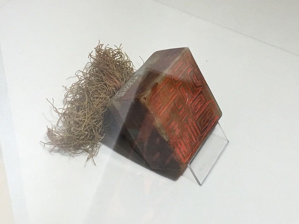 故宫有新宠:九只梅花鹿入住慈宁宫花园|慈宁宫