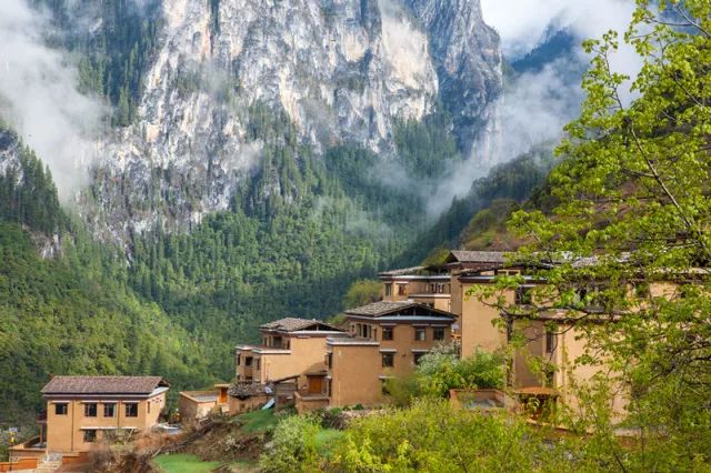 山脚像非洲,半腰亚马逊,山顶是雪山,抬头就是七