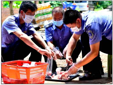 “一票否决”确保广州产地农产品质量安全