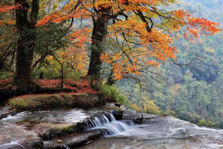 云南最美云上公路国庆通车 穿梭彩云间 一路