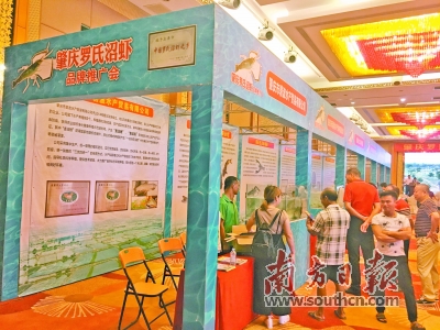 肇庆罗氏沼虾品牌推广会在高要召开|水产养殖