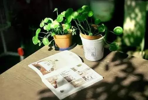 朱光潜:一个人无论干什么,都需要四个条件|朱光