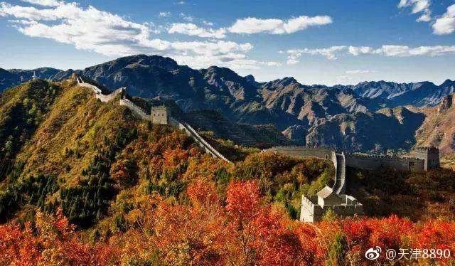 今晚读丨没看够!微信开机启动图又要换回去了