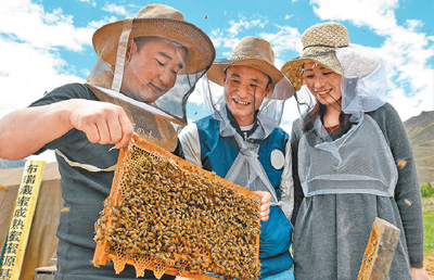 展板图片选登(第三展区)|民主|依法治国|检察官