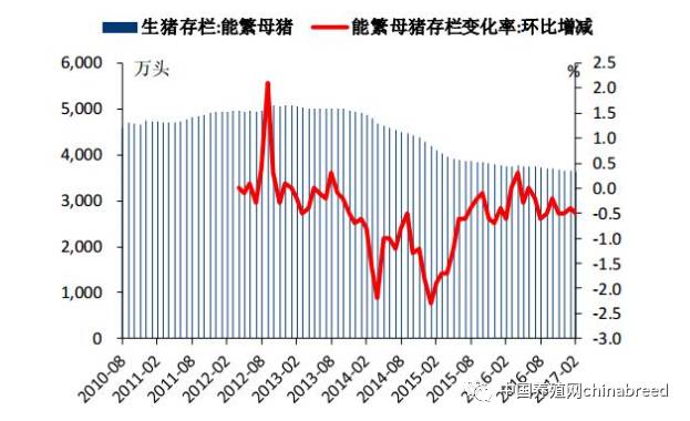 易游娱乐城- YY易游体育官方网站- 易游体育APP2023生猪养殖市场现状及前景分析