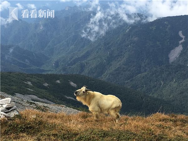 户外穿越的死亡线路--鳌太线,终于有了一份安