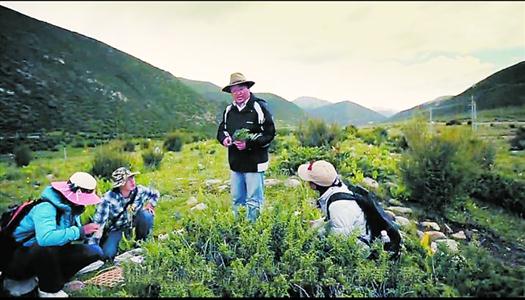 他为上海培植一片红树林 追忆复旦大学研究生