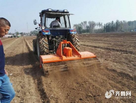 山东大蒜全面机械化种植 1台机器顶200个壮汉