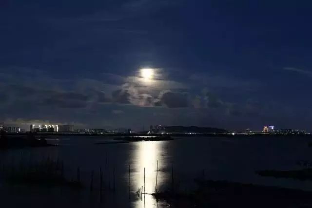 东方早安丨星垂平野阔,月涌大江流