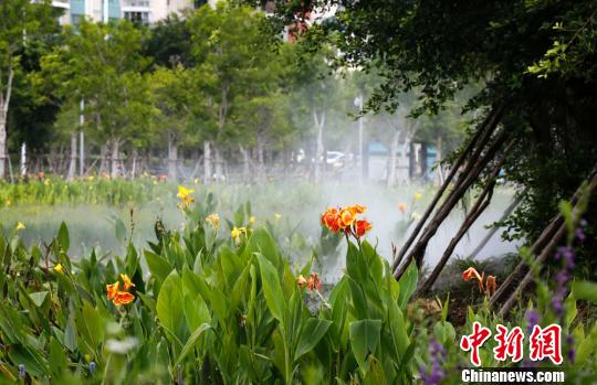 三亚城市双修 市民听取蛙声一片|三亚|陈文