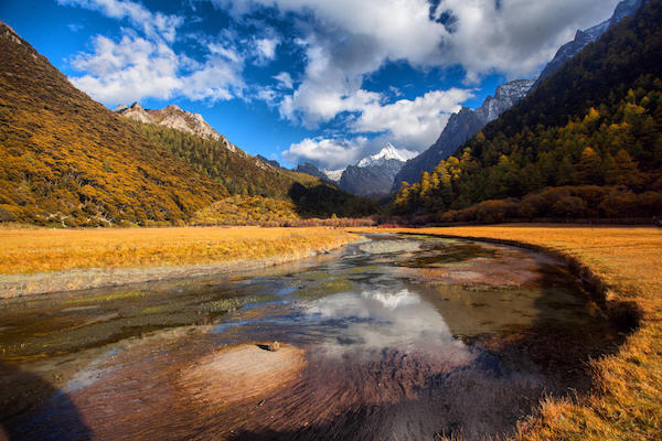 闭,今年秋天还能去哪浪?这里有份靠谱时间表|九