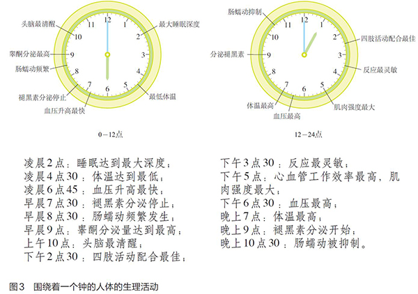 诺奖得主学生谈生物钟是什么?科学家是怎么发