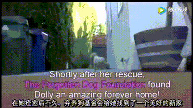 2017年朋友圈最火的照片,看到第几张你哭了?