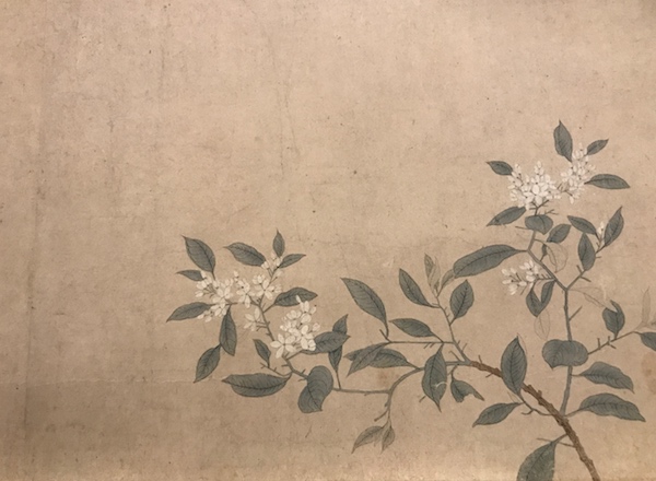 月夕赏花，故宫藏钱选《八花图卷》名目图考|钱选|故宫|赵孟頫_新浪新闻