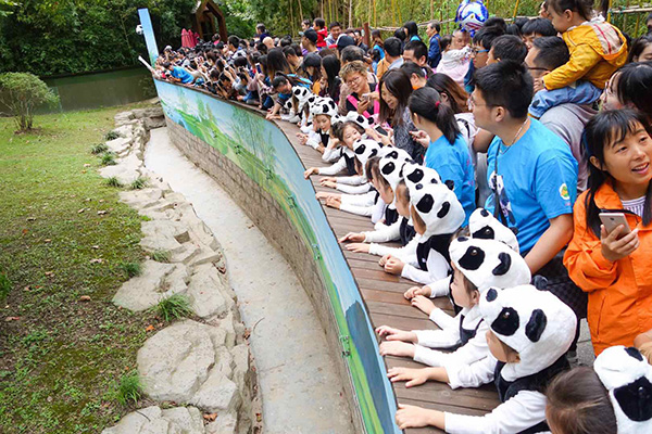 上海首对龙凤胎大熊猫周岁啦!抓周选了算盘
