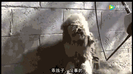 2017年朋友圈最火的照片,看到第几张你哭了?