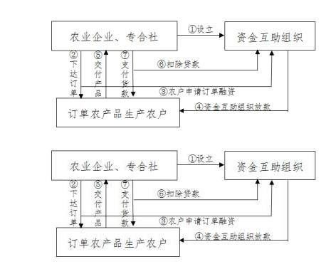 农产品订单融资模式及典型案例分析_财经头条