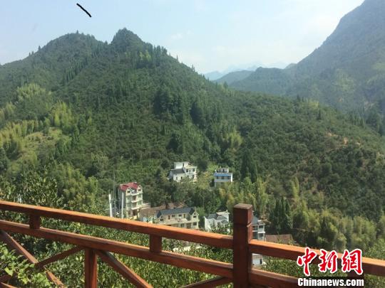 小木屋外的景观。 孙佳琦 摄