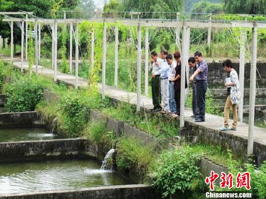 浙江开化致力人才腾飞 乡土专家成领头雁|浙