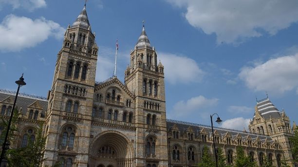 惊魂未定又出事 女子试图越入英国白金汉宫遭