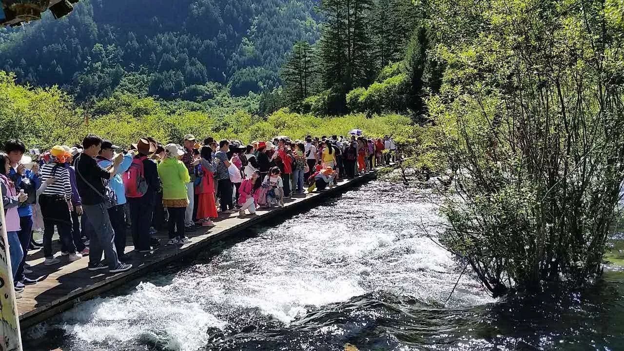 今年国庆黄金周这个景点真的很火!|军事|雷达|稻