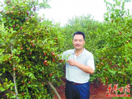 【十九大代表风采】陈永忠:油茶花开 致富果来