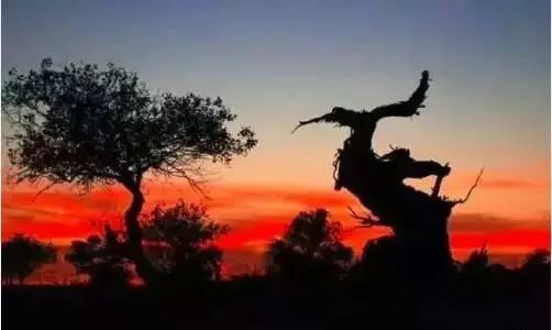 我要请假!去G7京新高速自驾游!