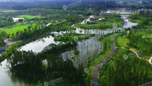 31省区市五年成绩单:五年修炼中国经济新气质|钢铁|制造业|五年_新浪财经_新浪网