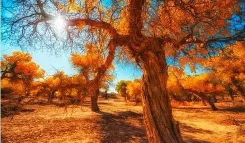 我要请假!去G7京新高速自驾游!