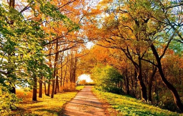 这些成语竟然都和秋天有关!全都知道的人不一