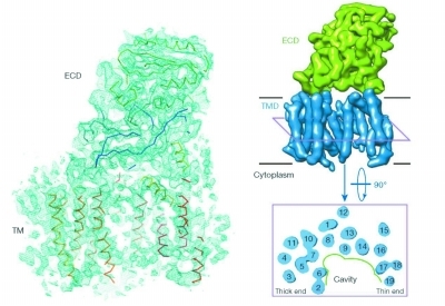 明星科学家施一公:科学家办企业要有节制
