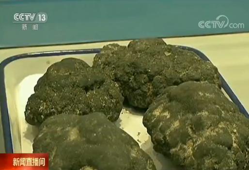 号成功首获330公斤海底样品 刷新单次取样纪