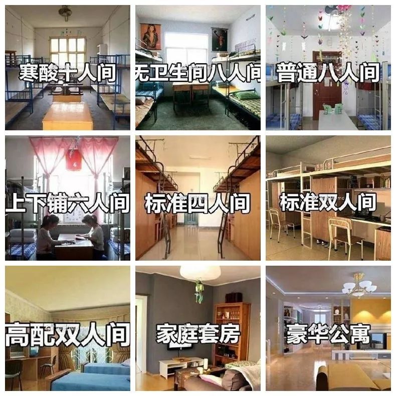 别人的宿舍都走清新田园风啦,你的宿舍呢?
