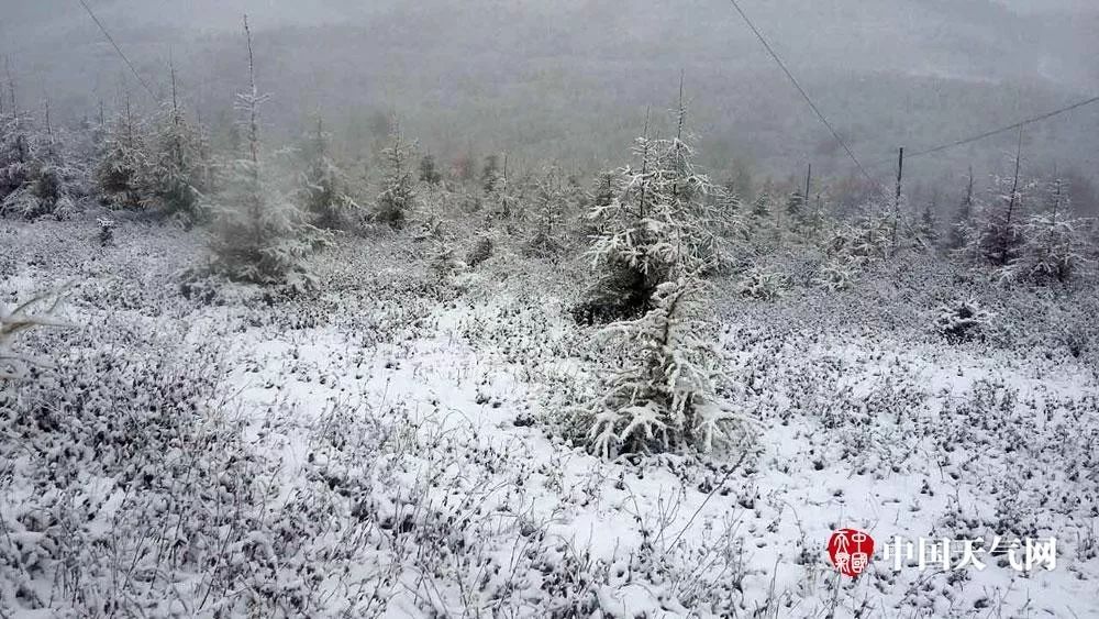 △10日早晨,门头沟灵山出现降雪,白雪皑皑。