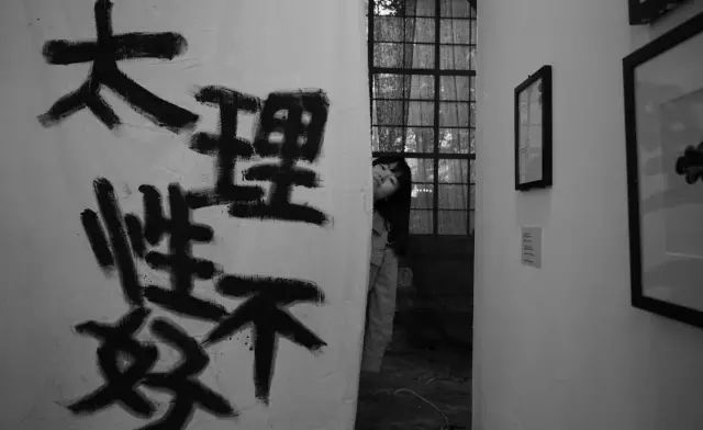 20000㎡的网红拍照圣地来了，你在上海竟然还错过？