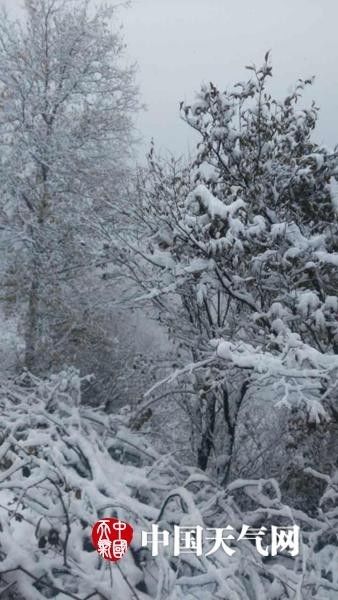  △10日延庆海坨山的雪景