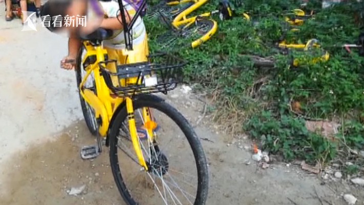 视频|熊孩子骑共享单车成风 开锁不成竟用砖